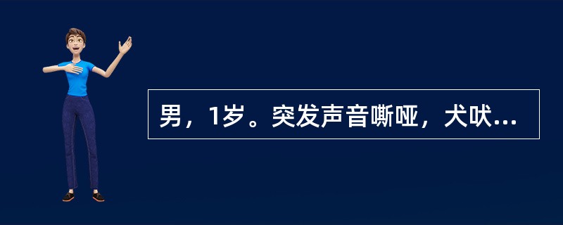 男，1岁。突发声音嘶哑，犬吠样咳嗽，吸气性喉喘鸣和三凹征，烦躁，口周发绀。查体：