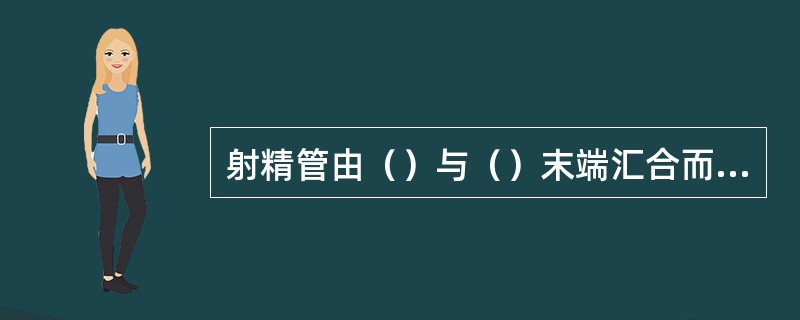 射精管由（）与（）末端汇合而成。