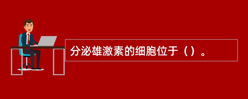 分泌雄激素的细胞位于（）。