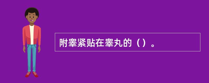 附睾紧贴在睾丸的（）。