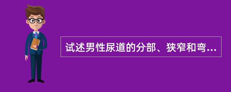 试述男性尿道的分部、狭窄和弯曲。