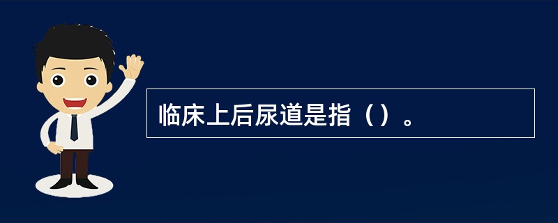 临床上后尿道是指（）。