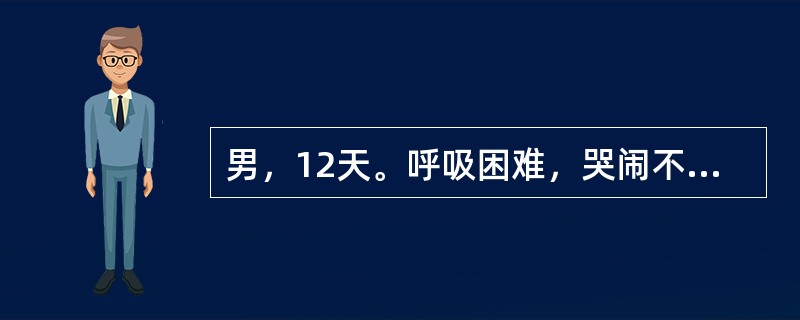 男，12天。呼吸困难，哭闹不止。X线检查如图，最可能的诊断为（）