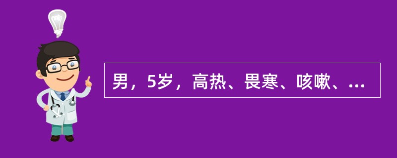 男，5岁，高热、畏寒、咳嗽、胸痛1周，如图所示，最可能的诊断为（）