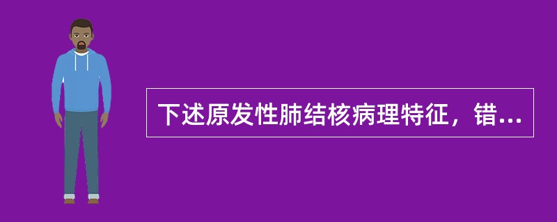 下述原发性肺结核病理特征，错误的是（）