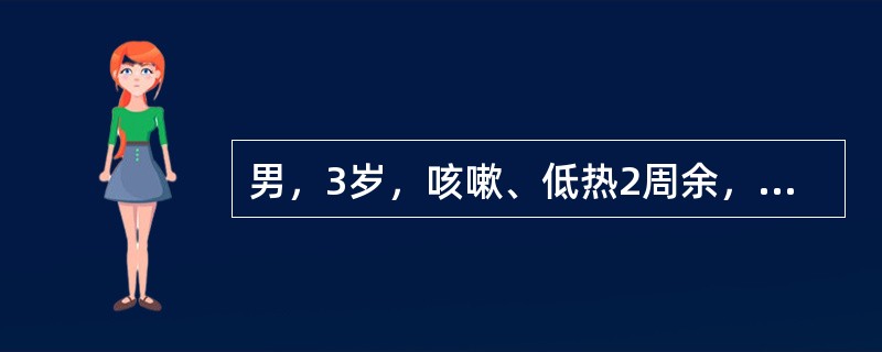 男，3岁，咳嗽、低热2周余，不咯血、咳痰，X线检查如图，最可能的诊断是（）