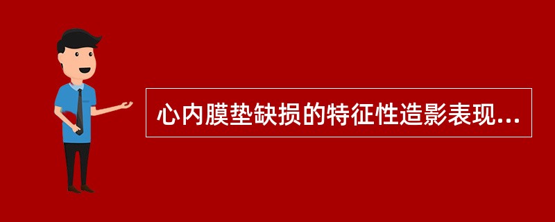 心内膜垫缺损的特征性造影表现为（）