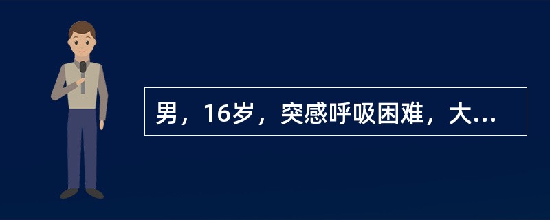 男，16岁，突感呼吸困难，大汗淋漓，胸片检查如图，最可能的诊断是（）