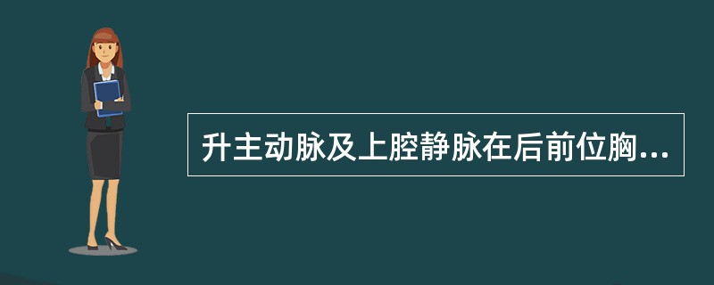 升主动脉及上腔静脉在后前位胸片上位于（）