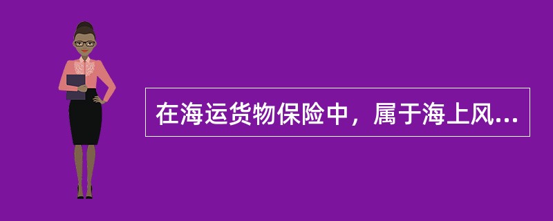 在海运货物保险中，属于海上风险的是（）。