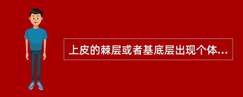 上皮的棘层或者基底层出现个体或者成群的细胞角化称为（）