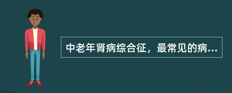 中老年肾病综合征，最常见的病理类型是（）