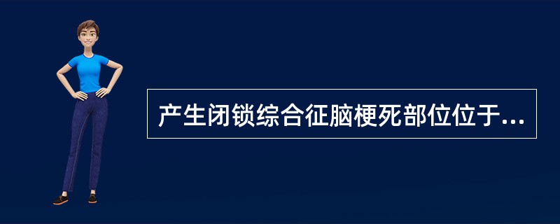 产生闭锁综合征脑梗死部位位于（）