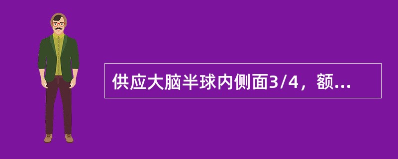 供应大脑半球内侧面3/4，额叶背侧面上1/4区的动脉为（）