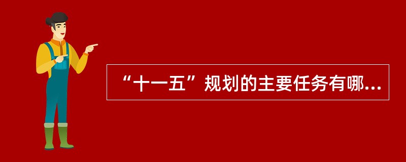 “十一五”规划的主要任务有哪些？