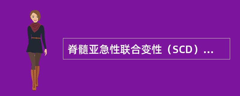 脊髓亚急性联合变性（SCD）病理发现的病变部位包括（）