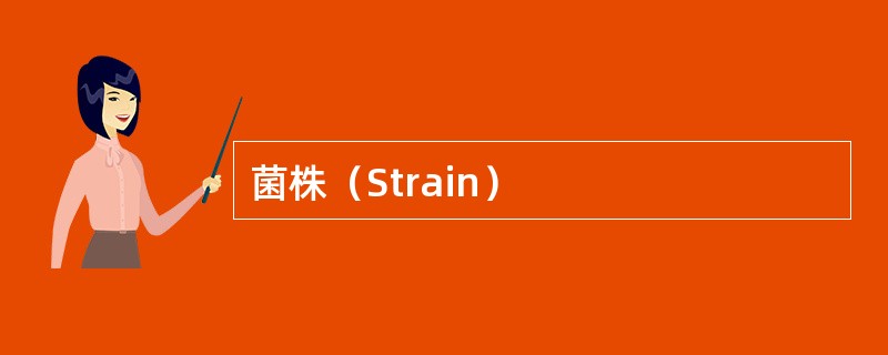 菌株（Strain）