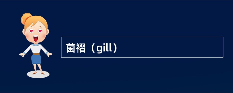 菌褶（gill）