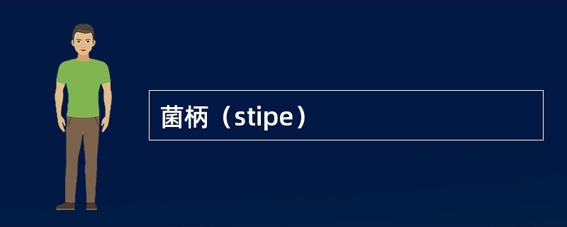 菌柄（stipe）