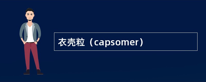 衣壳粒（capsomer）