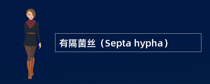 有隔菌丝（Septa hypha）