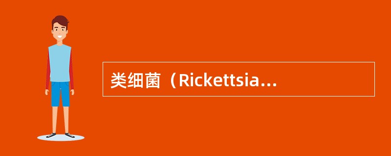 类细菌（Rickettsia-Lick Bacteria RLB）：