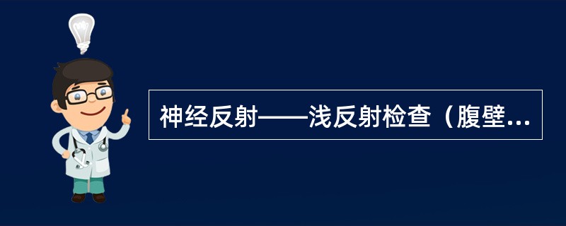 神经反射——浅反射检查（腹壁、角膜、提睾反射）（18分）