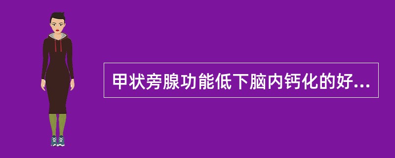 甲状旁腺功能低下脑内钙化的好发部位不包括（）