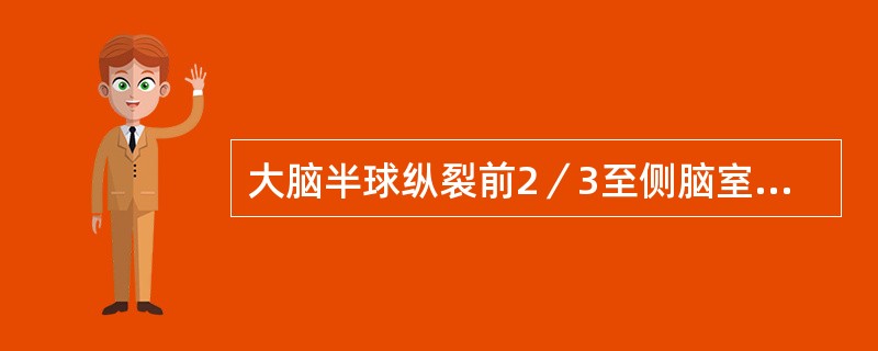 大脑半球纵裂前2／3至侧脑室外侧壁之间的供血动脉为（）