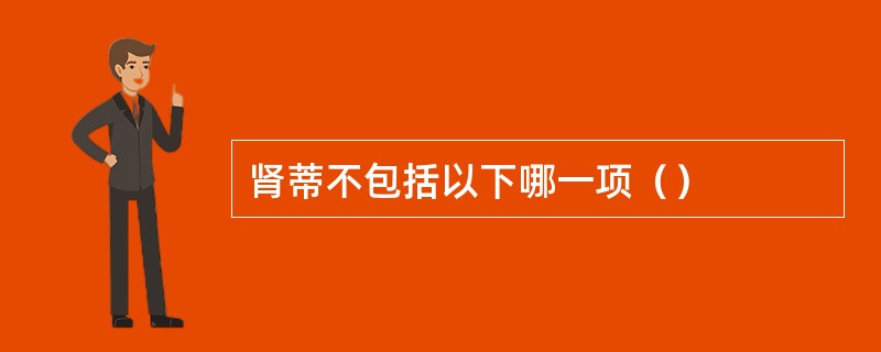 肾蒂不包括以下哪一项（）