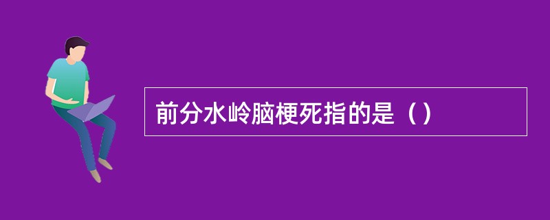 前分水岭脑梗死指的是（）