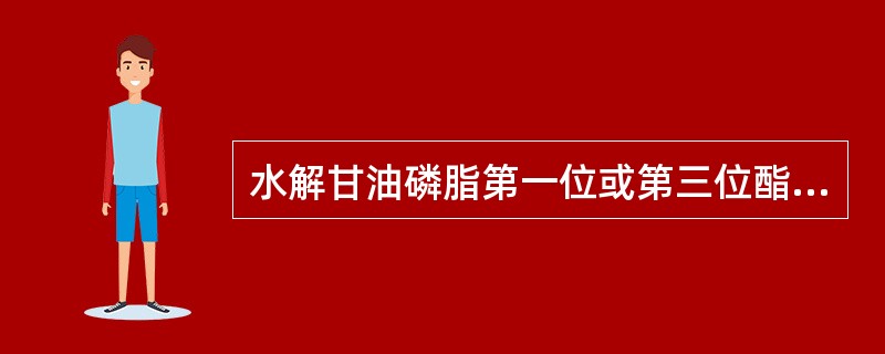 水解甘油磷脂第一位或第三位酯键的酶（）