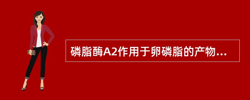 磷脂酶A2作用于卵磷脂的产物是（）