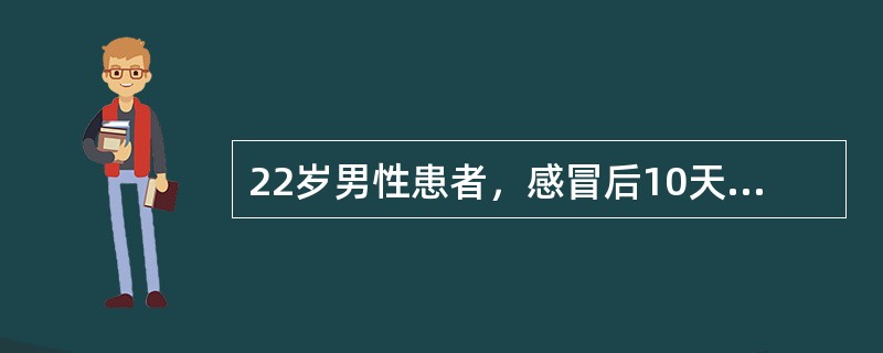 22岁男性患者，感冒后10天出现双下肢浮肿伴乏力，Bp155／105mmHg，尿