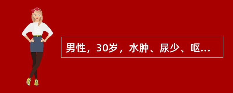 男性，30岁，水肿、尿少、呕吐2个月，血压180/120mmHg，尿蛋白（+++