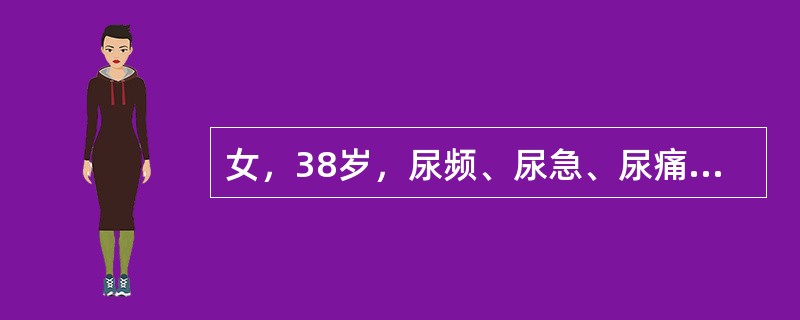 女，38岁，尿频、尿急、尿痛半年余，抗炎治疗不见好转，IVU右肾不显影，尿常规示