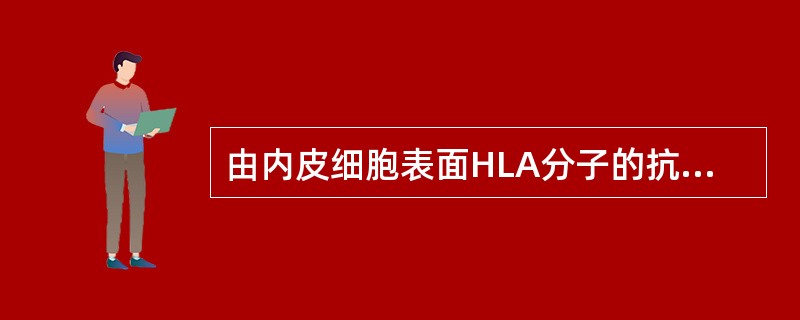 由内皮细胞表面HLA分子的抗体所介导（）