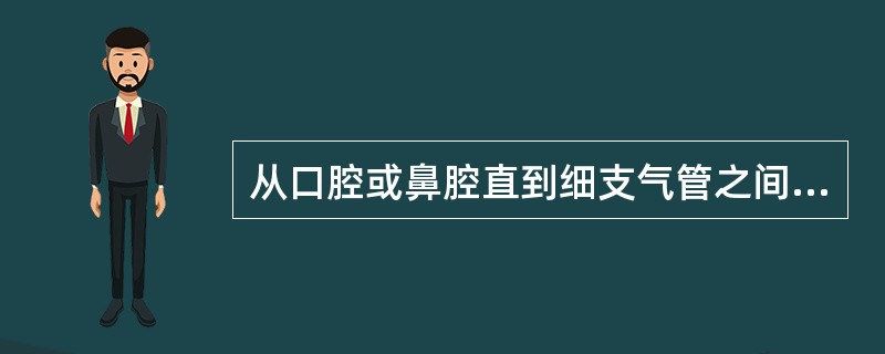 从口腔或鼻腔直到细支气管之间的呼吸道死腔属于()