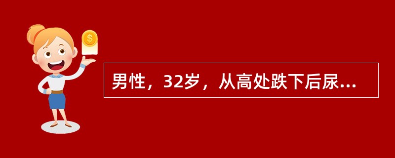 男性，32岁，从高处跌下后尿道口流血，不能自行排尿，收住院。体检：腹软，无压痛，