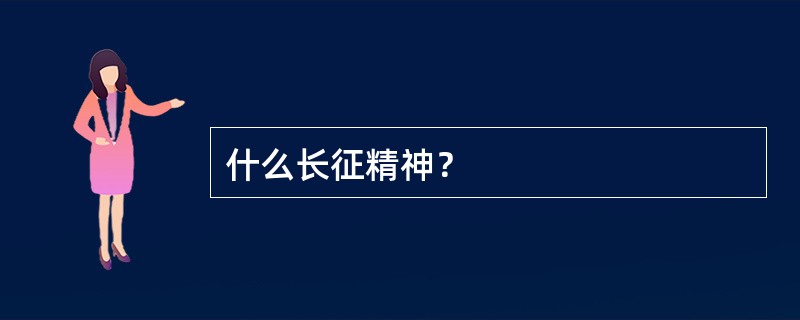 什么长征精神？