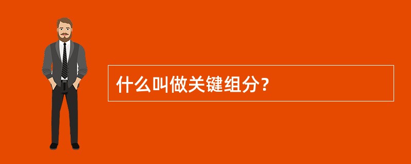 什么叫做关键组分？