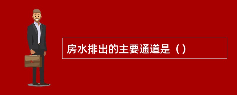 房水排出的主要通道是（）