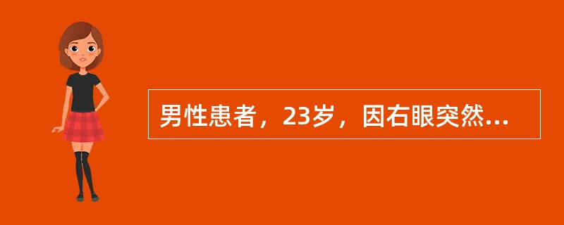 男性患者，23岁，因右眼突然失明一天而就诊，查双眼外部未见异常，右眼玻璃体大量出