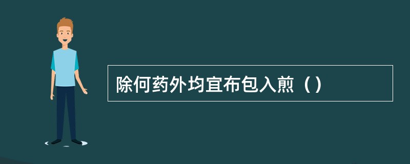 除何药外均宜布包入煎（）