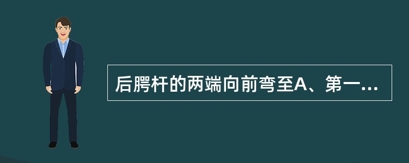 后腭杆的两端向前弯至A、第一前磨牙B、第二前磨牙与第一磨牙之前C、第一磨牙与第二