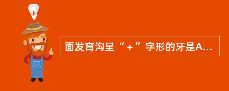 面发育沟呈“＋”字形的牙是A、下颌第一前磨牙B、下颌第二前磨牙C、上颌第一磨牙D