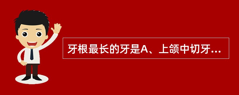 牙根最长的牙是A、上颌中切牙B、上颌尖牙C、上颌第一前磨牙D、上颌第一磨牙E、下