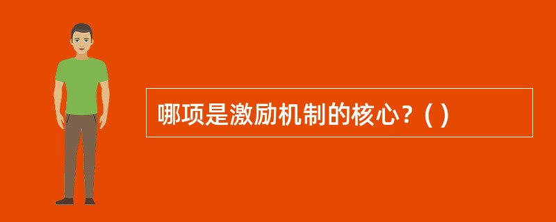 哪项是激励机制的核心？( )