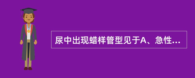 尿中出现蜡样管型见于A、急性肾盂肾炎B、急性肾小球肾炎C、急性肾衰竭D、慢性肾衰