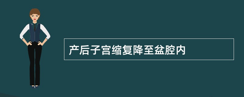 产后子宫缩复降至盆腔内